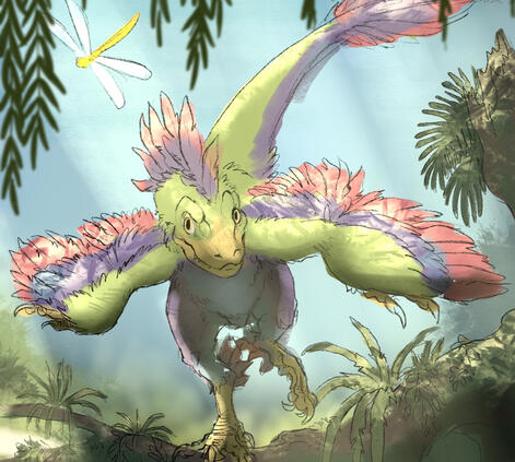 Character ©SumDumRaptor (rough sketch)